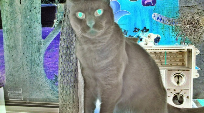 11252014 Likes and Dislikes