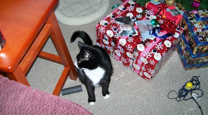 Xmas Wrapping For Kids and Xmas Present ID (2012)