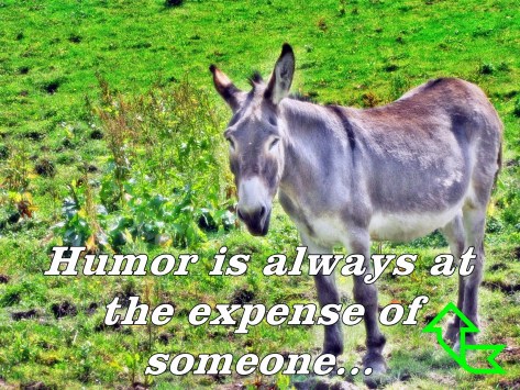 ?????????????????????????????????????????????????????????????????????????????????????????????