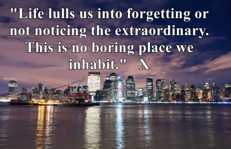 new-york-city-at-night