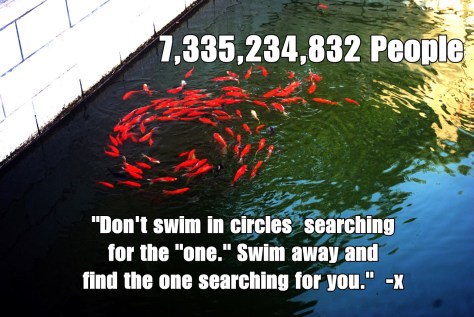 swirling-fish-2961299294400MWC