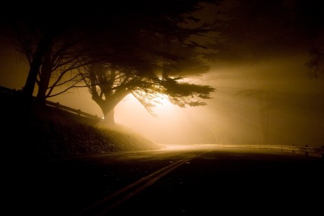 landscape-696825_1920