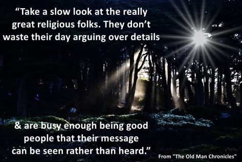 rays-of-sun-through-trees