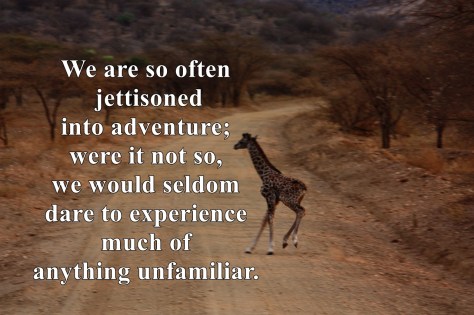 adventure unfamiliar