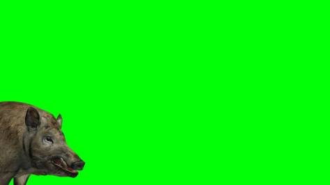 12466146_10154483918559115_2116723963066194193_o