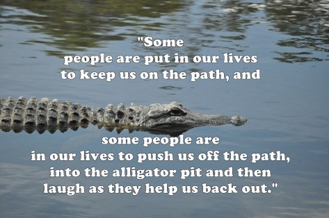 alligator friend