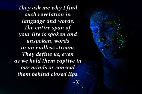 bswgmbfb208-h-heyerlein