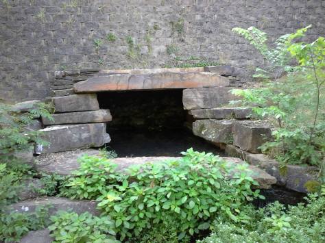 18489868_10156151696014115_7911038892908029813_o