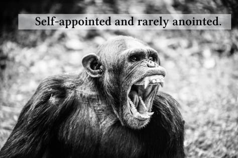 22467712_10156695731509115_5685874446956006885_o