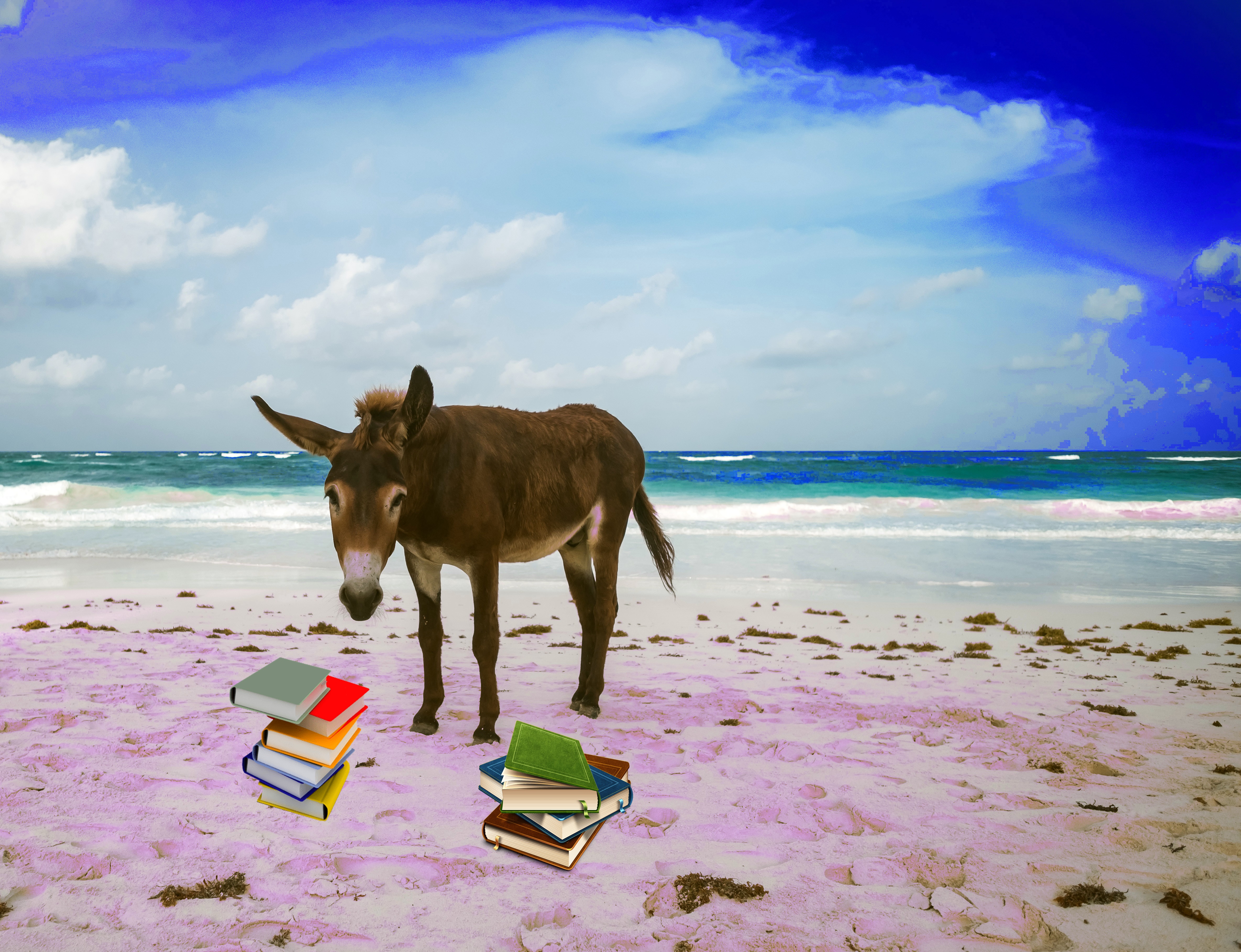 spencer-watson-327583-unsplash