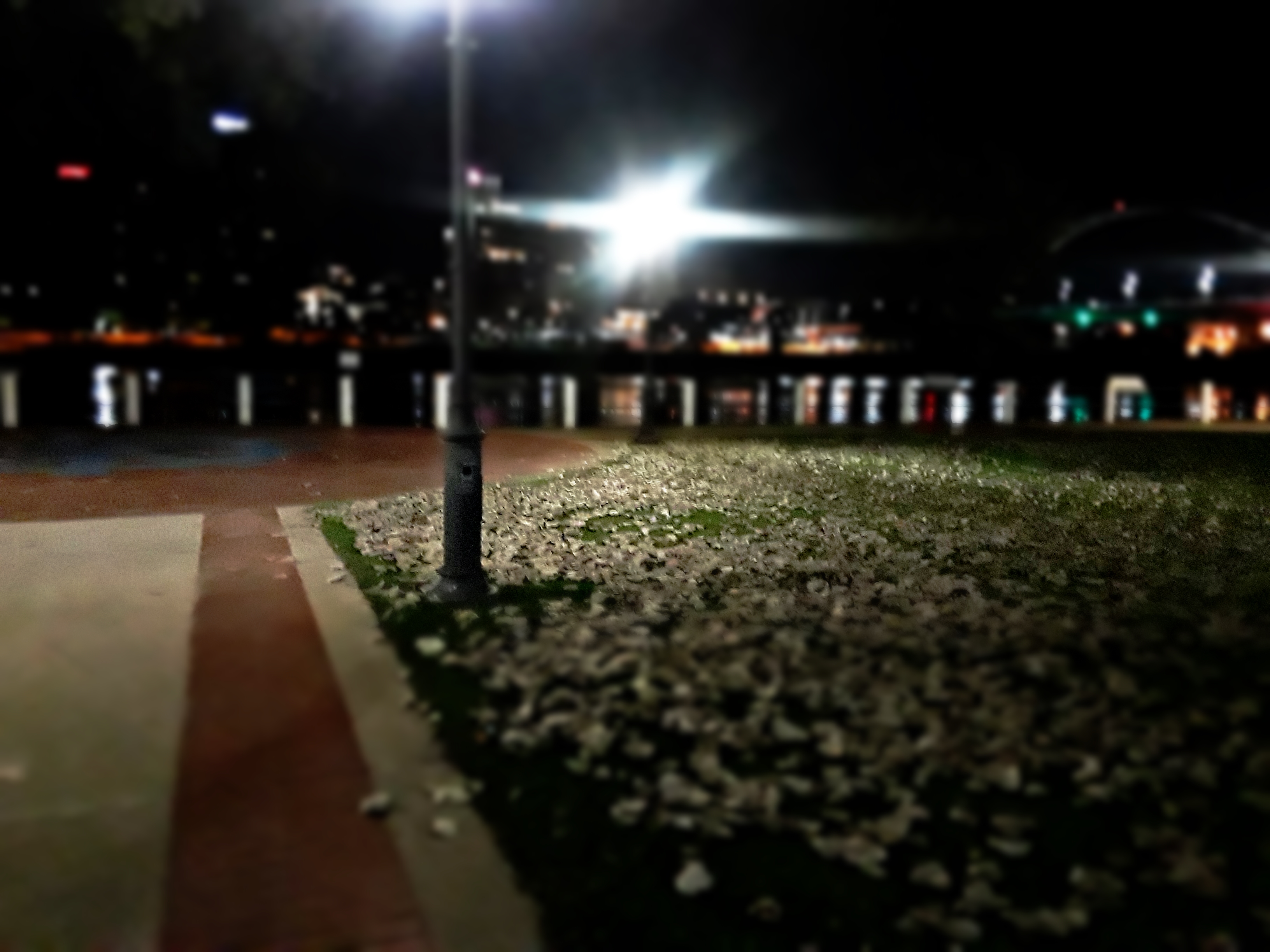 20181018_055542 tilt shift