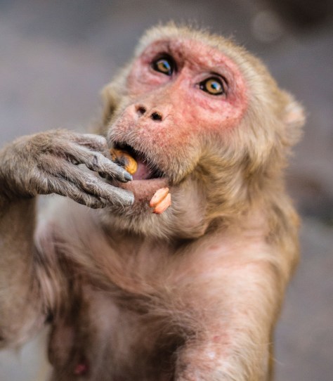 frank-holleman-498581-unsplash