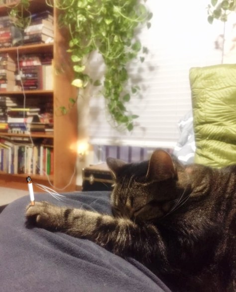 51378860_10156251284683931_3361660869535596544_n