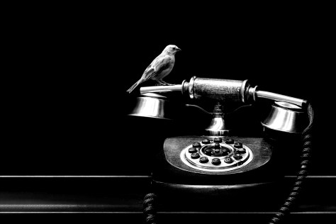 pawel-czerwinski-784154-unsplash