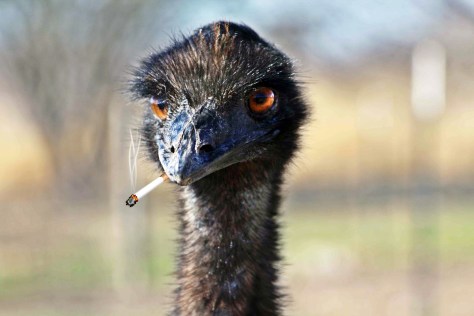 ruth-caron-1122-unsplash