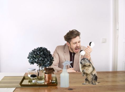 sophie-165057-unsplash