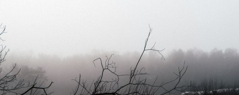 alireza-badiee-MMu7JLEiopY-unsplash