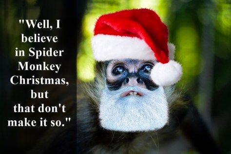 spider monkey christmas