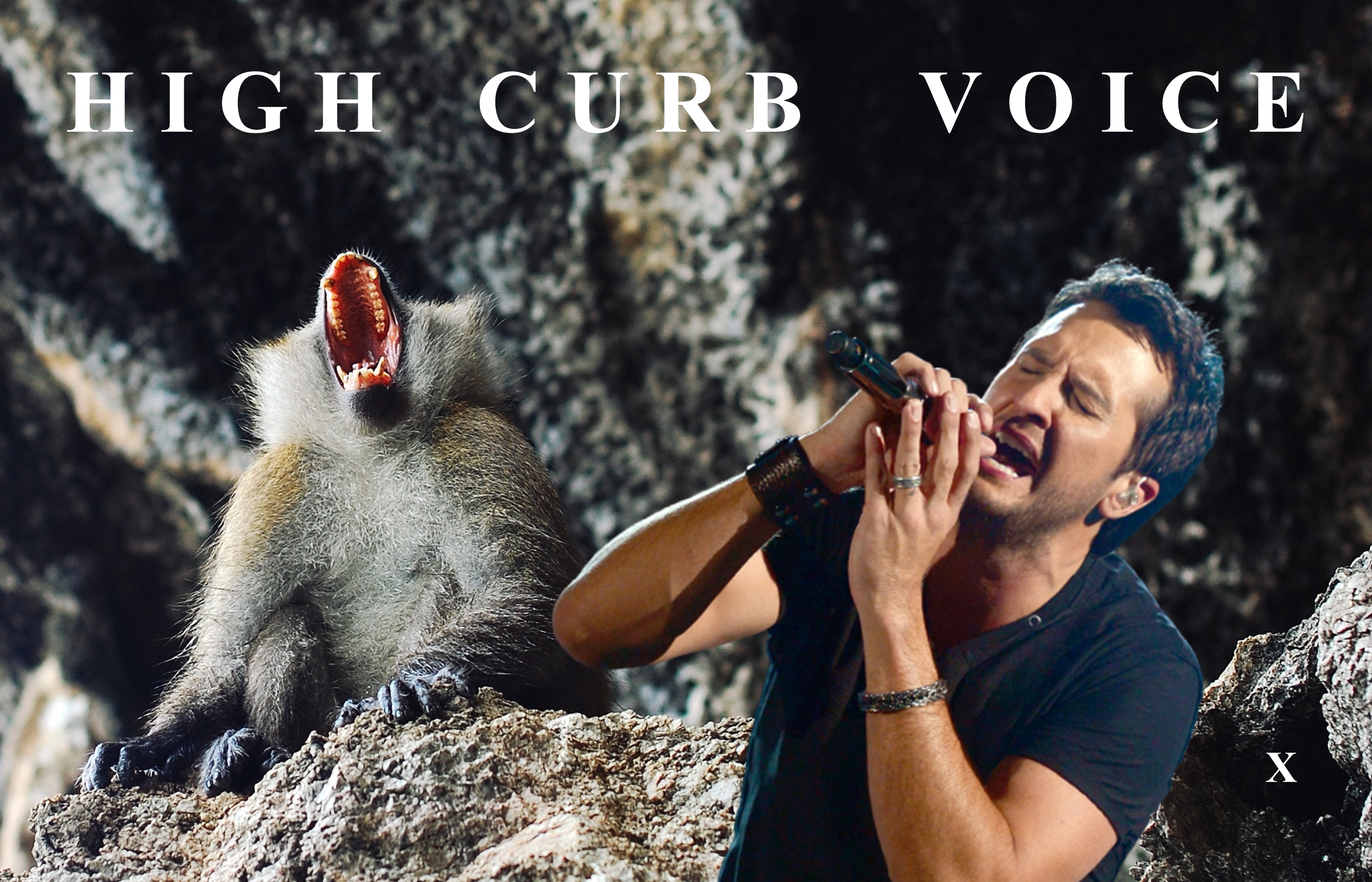 asa-rodger-nezHaCwch2w-unsplash