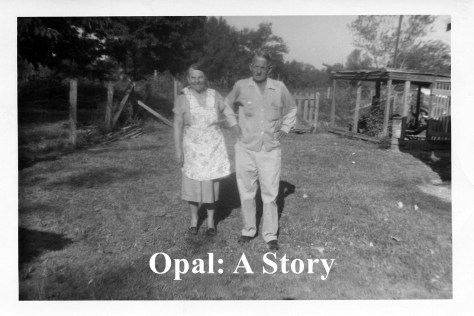 johnny franklin terry 3