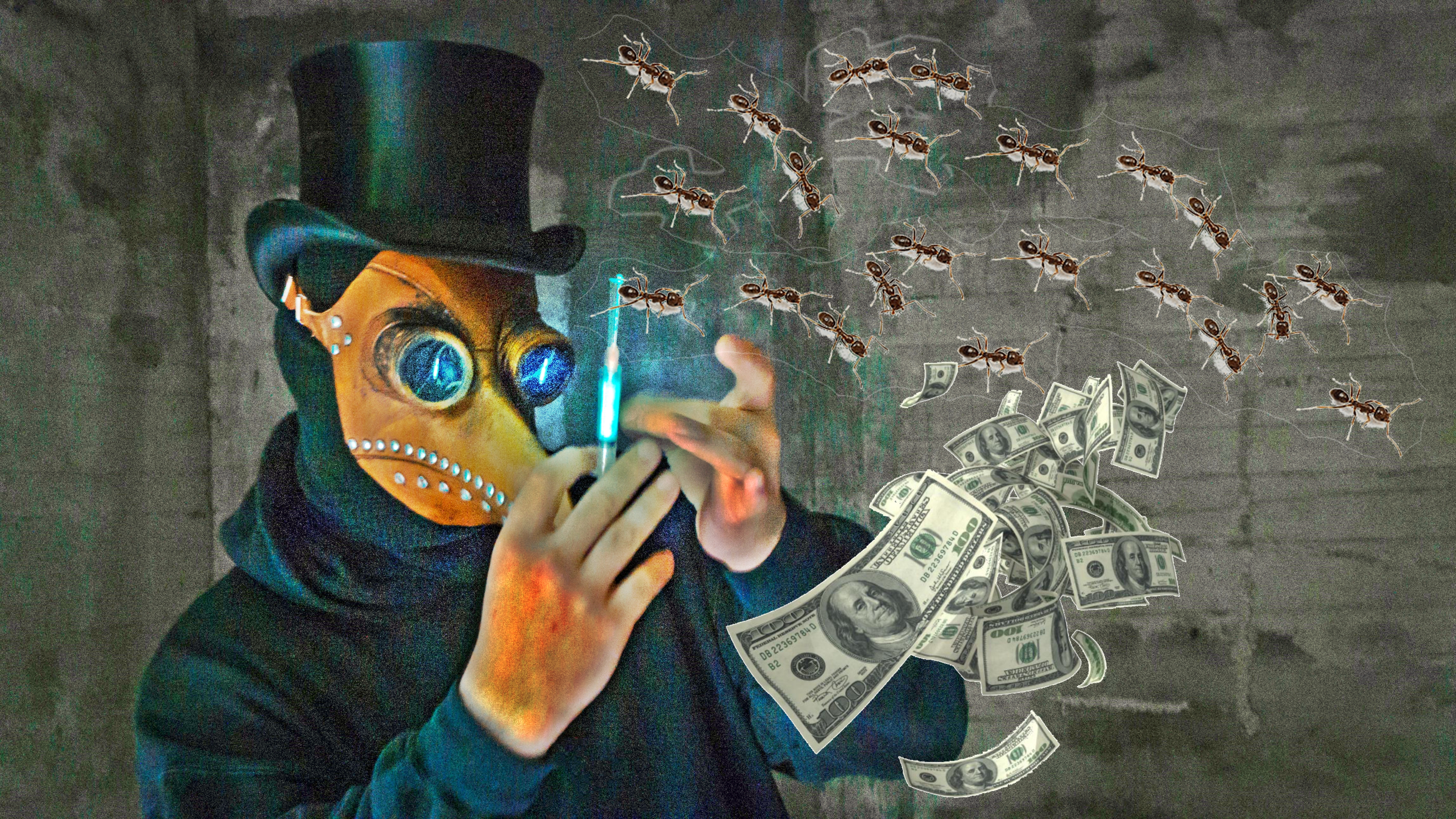 kuma-kum-oBLk_2Iyisg-unsplash