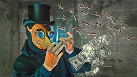 kuma-kum-oBLk_2Iyisg-unsplash