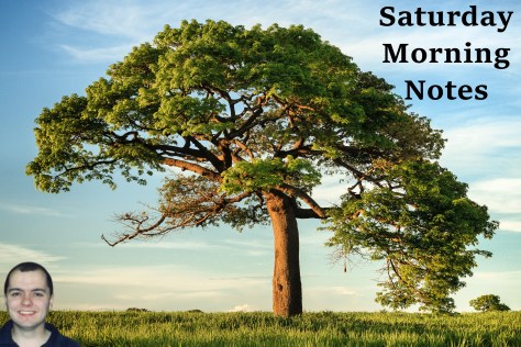 niko-photos-tGTVxeOr_Rs-unsplash