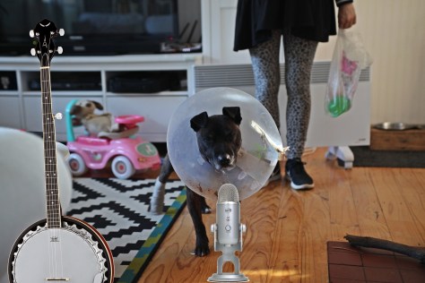 andy-losik-B2146LWQ03I-unsplash